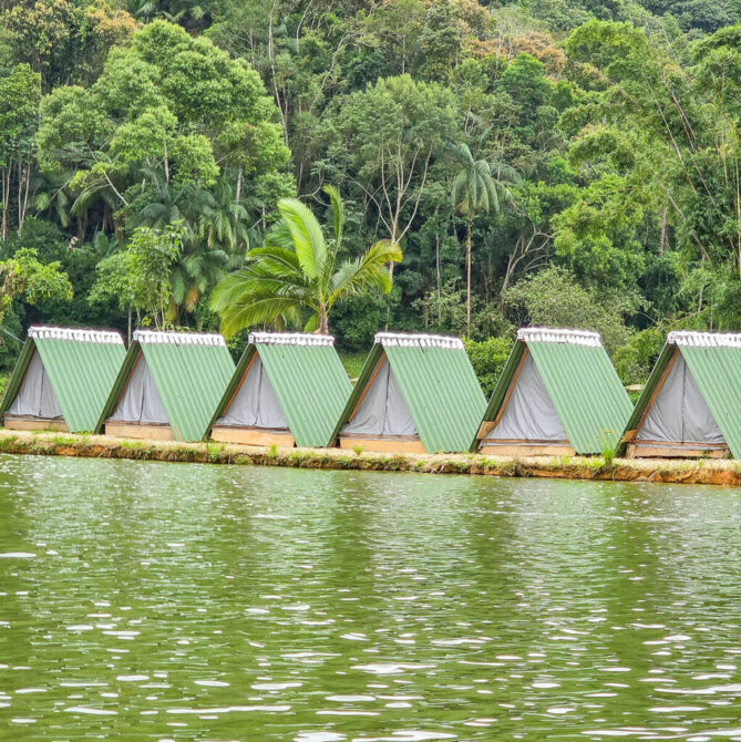 Pesca recreativa tranquila no Pesqueiro 3 Irmãos em Limeira