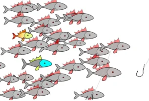 Anzóis ideais para pesca esportiva em rios, lagos e pesqueiros brasileiros