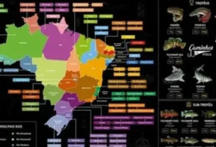 calendário de pesca por regiões do Brasil com rios e espécies esportivas