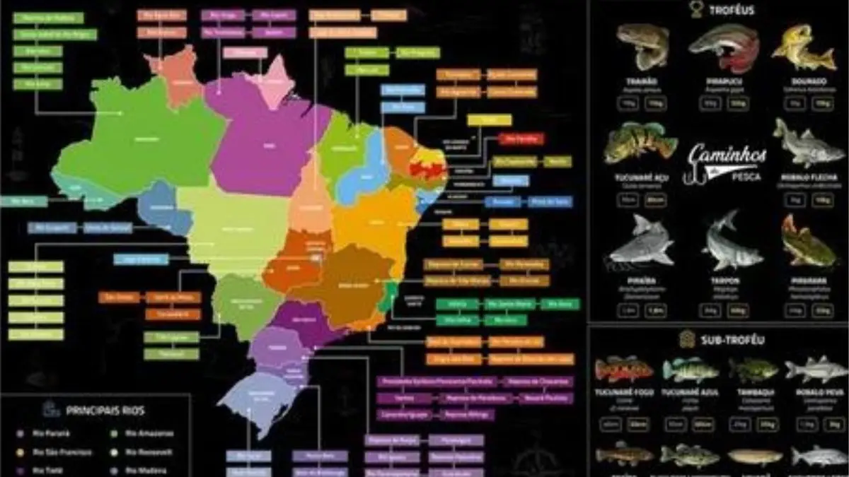 Calendário de pesca por região do Brasil: melhores épocas certeiras 1 calendário de pesca por regiões do Brasil com rios e espécies esportivas