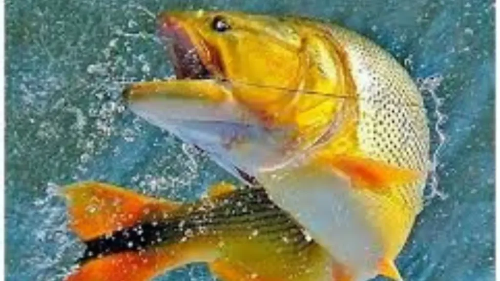 7 erros na fisgada que fazem você perder peixes grandes 2 fisgada que fazem você perder peixes grandes