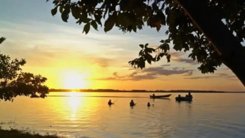 Pesca esportiva no Pantanal para iniciantes