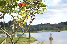 Pesqueiro em Miguel Pereira com lago para pesca esportiva e natureza preservada