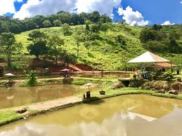 Pesqueiro em Petrópolis com lago de pesca esportiva na região serrana