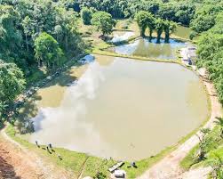 Pesqueiro 3 Irmãos em Limeira com lagos tranquilos e pesca recreativa