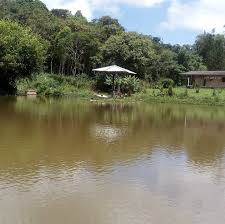 Pesqueiro Santa Clara em Jundiaí com tambaquis, pacus e tilápias