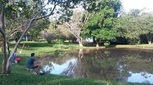 Lagoa calma, ideal para iniciantes aprenderem técnicas de pesca esportiva