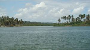 pescaria de robalo em lagoas e mangues do Nordeste