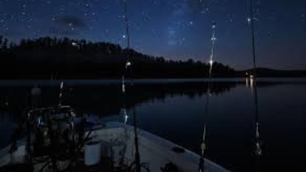 Pesca noturna em rios