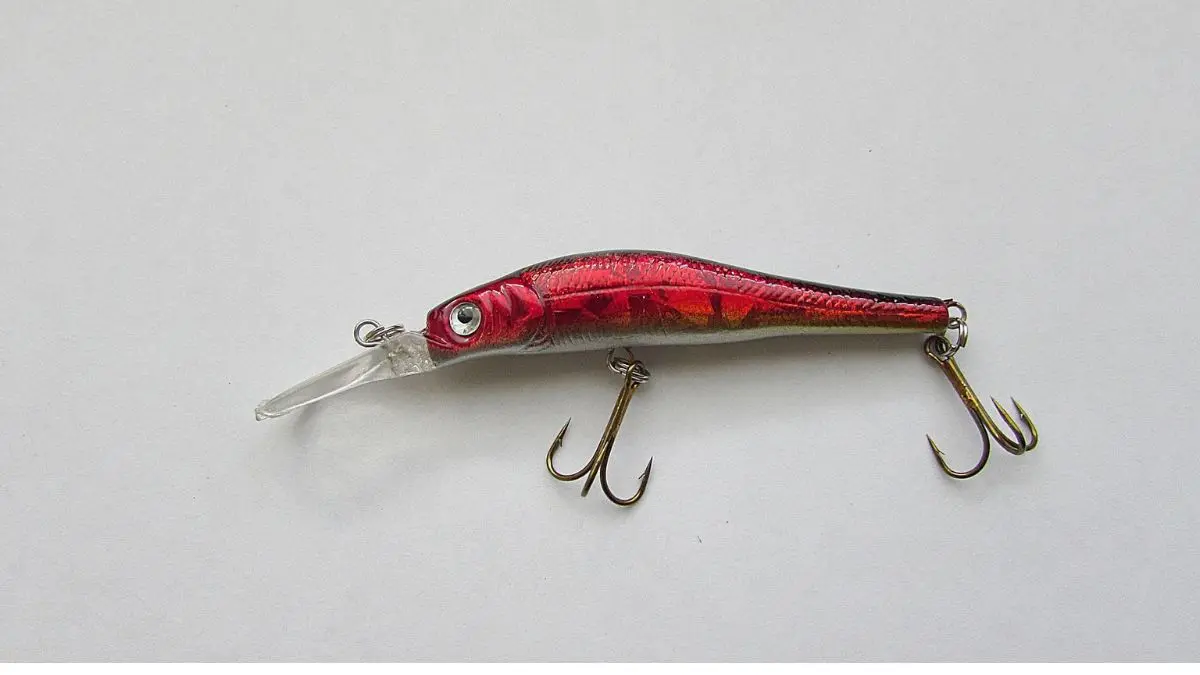 Diferença entre isca artificial e natural na pesca esportiva em rios e lagos brasileiros