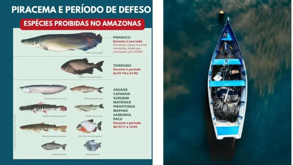 Calendário de pesca por região do Brasil: melhores épocas certeiras 2 Calendário de pesca por região do Brasil