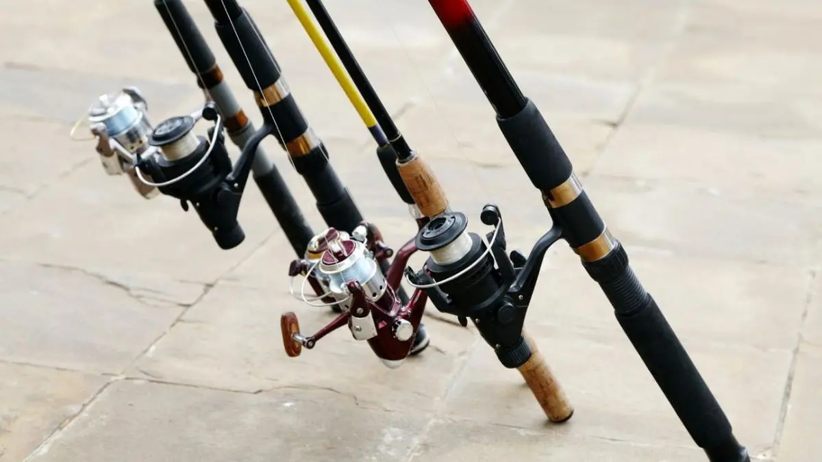 Como escolher molinete para iniciantes sem errar na compra? 1 Molinete para iniciantes usado em pesca esportiva leve
