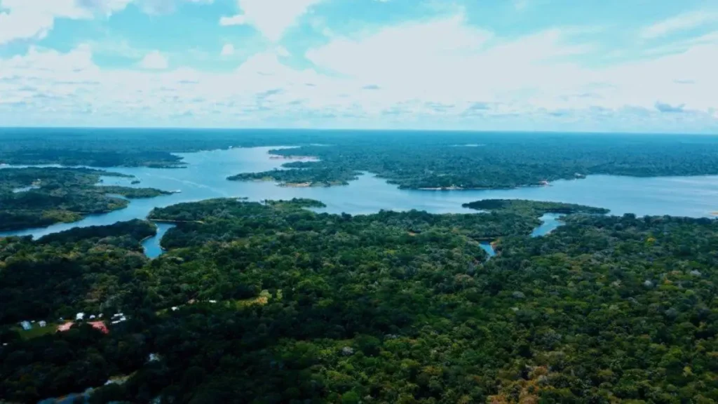 Calendário de pesca por região do Brasil: melhores épocas certeiras 3 tucunaré amazônico em rio de água baixa na melhor época de pesca