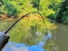 pescador em margem de represa brasileira durante pesca esportiva