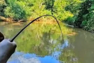 pescador em margem de represa brasileira durante pesca esportiva