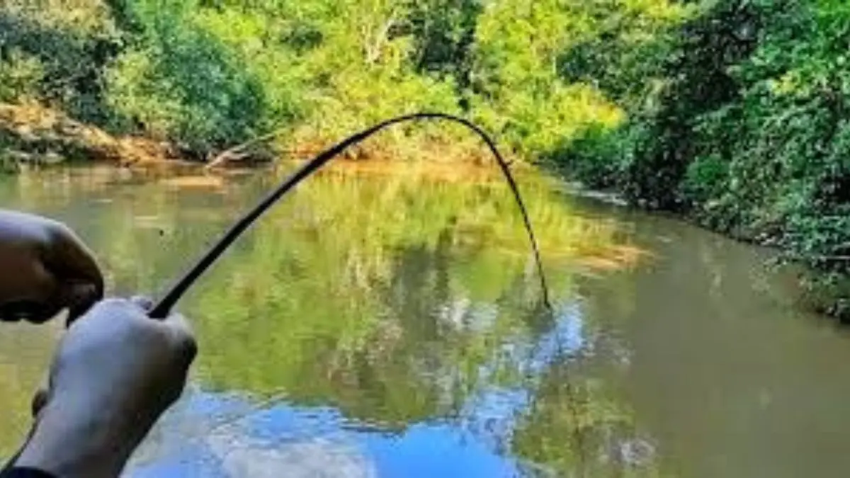 pescador em margem de represa brasileira durante pesca esportiva
