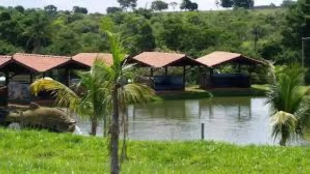 pesqueiros de Minas Gerais para pesca