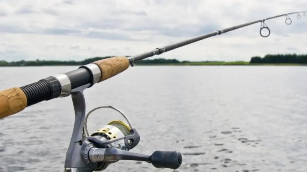 Calendário de pesca por região do Brasil: melhores épocas certeiras 4 pescaria esportiva no Pantanal durante período de seca