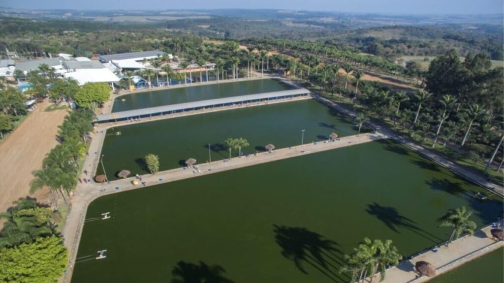 Pesqueiros de tambaqui em São Paulo com grandes exemplares 3 Pesqueiro Maeda com lago para tambaquis gigantes em São Paulo