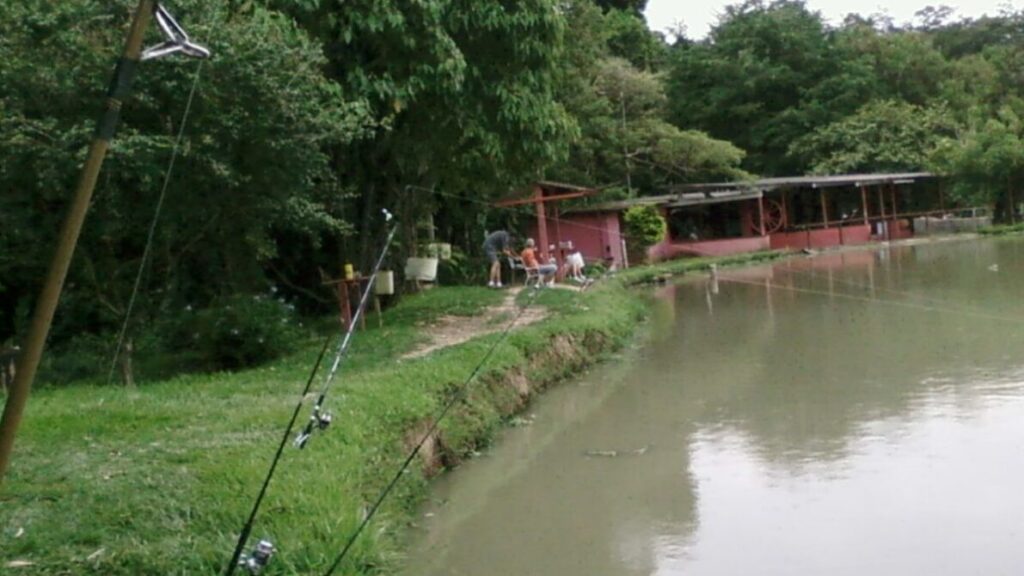 Top 10 pesqueiros do Paraná para pesca esportiva em 2026 2 pesqueiros do Paraná para pesca esportiva