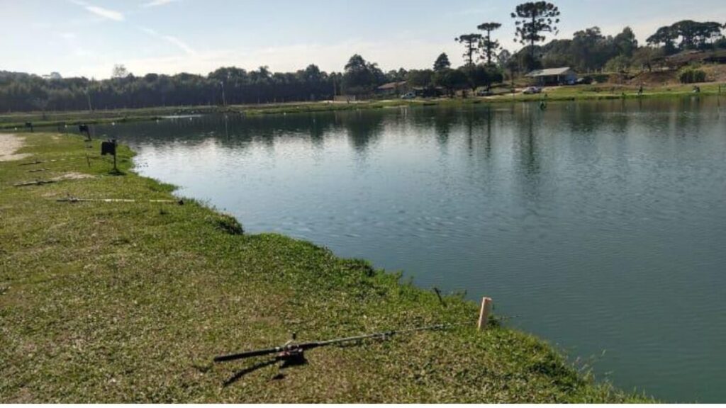 Pesqueiro em São José dos Pinhais próximo de Curitiba para pesca econômica