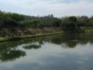 Pesqueiro próximo de Belo Horizonte com lago para pesca esportiva em Minas Gerais