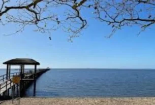 Principais lagoas para pesca esportiva no Rio Grande do Sul com paisagem natural e águas calmas para pescaria