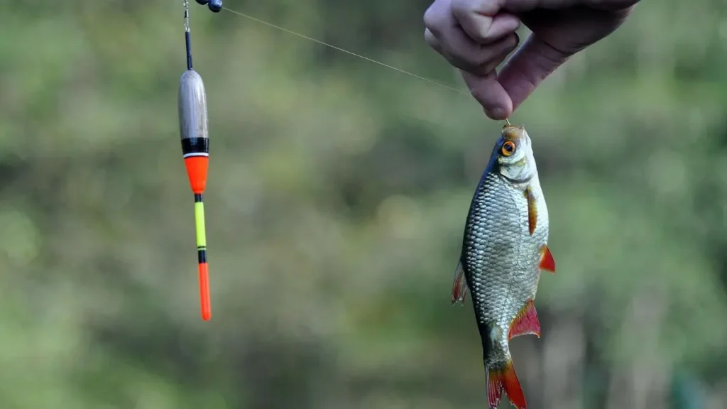tipos de pesca esportiva