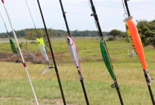 Pesqueiro em Minas Gerais com lago ideal para pesca esportiva