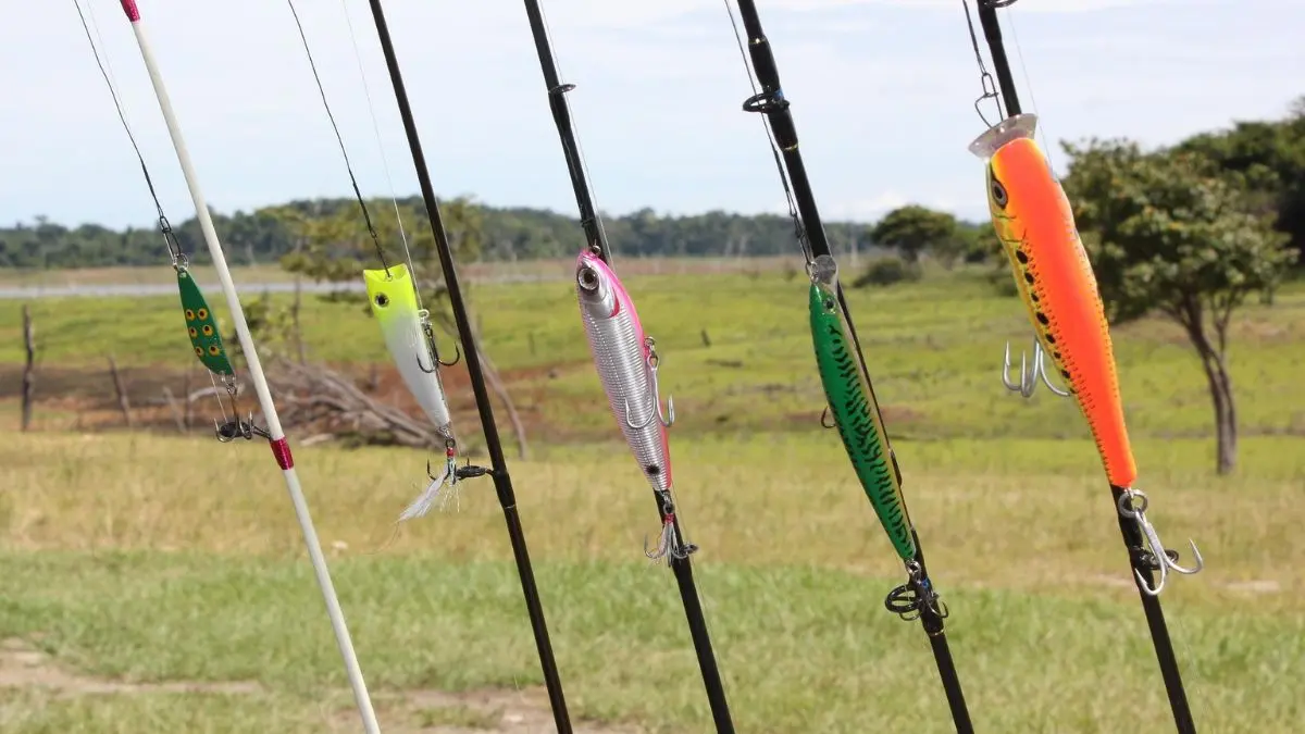 Pesqueiro em Minas Gerais com lago ideal para pesca esportiva