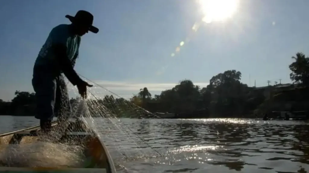 Calendário de pesca por região do Brasil: melhores épocas certeiras 5 pesca de tucunaré em represa do Sudeste brasileiro