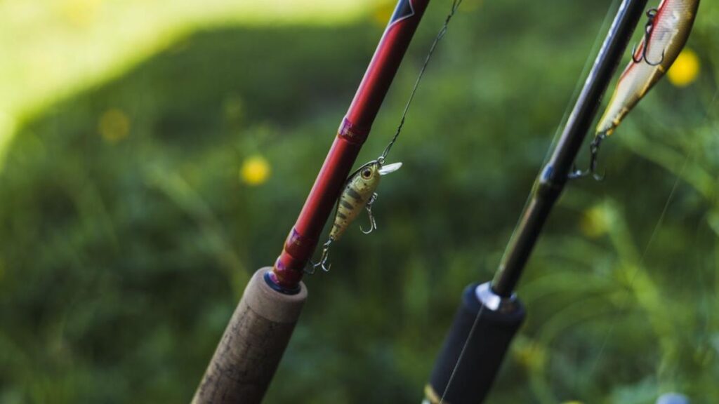 Qual a diferença entre vara rápida e vara lenta na pesca?