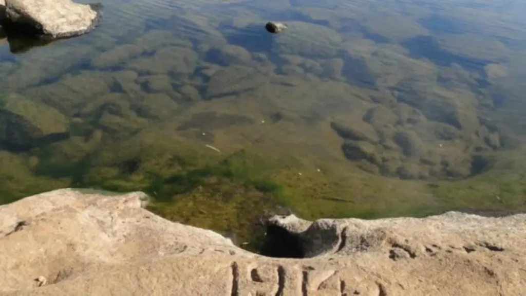 Leito antigo de rio concentrando grandes peixes em reservatório