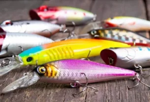 Iscas artificiais coloridas para diferentes condições de água na pesca esportiva