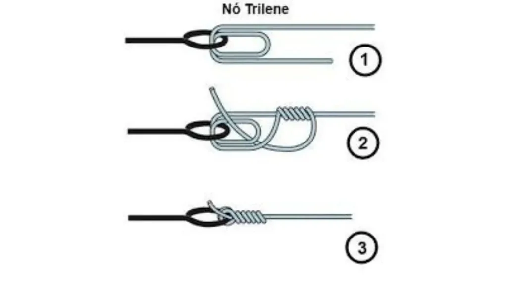 Qual o melhor nó de pesca para linha multifilamento? Guia prático 10 Demonstração do nó Trilene aplicado em anzol para pesca esportiva em água doce e salgada.