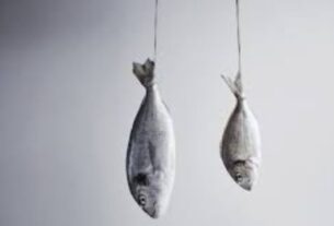 Montagem de líder de pesca esportiva com fluorcarbono e isca artificial