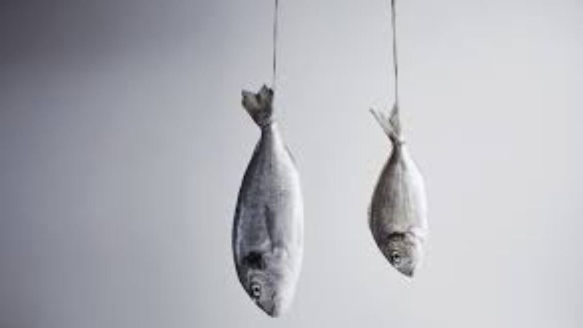 Montagem de líder de pesca esportiva com fluorcarbono e isca artificial