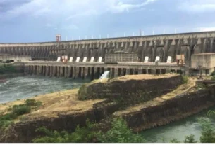 Estruturas naturais do Lago de Itaipu utilizadas por peixes esportivos