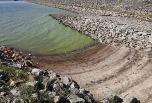 Estruturas submersas que concentram peixes em períodos de estiagem