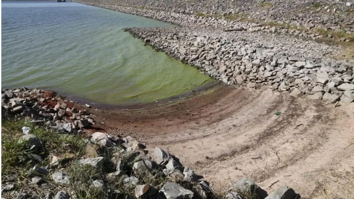 Estruturas submersas que concentram peixes em períodos de estiagem
