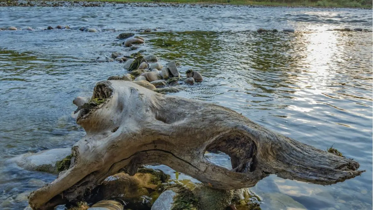 Estruturas naturais que concentram peixes em lagos e represas para pesca esportiva