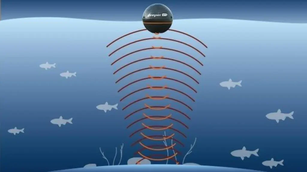 Estruturas submersas identificadas por sonar em lago de pesca esportiva