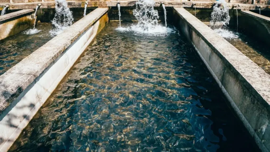 Pesquisa da Embrapa cria mapa capaz de prever doenças em pisciculturas. 4 Fluxo de água entre viveiros utilizado para análise de risco de contaminação