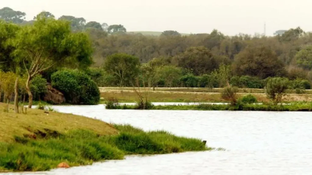 Pesca de barranco para iniciantes