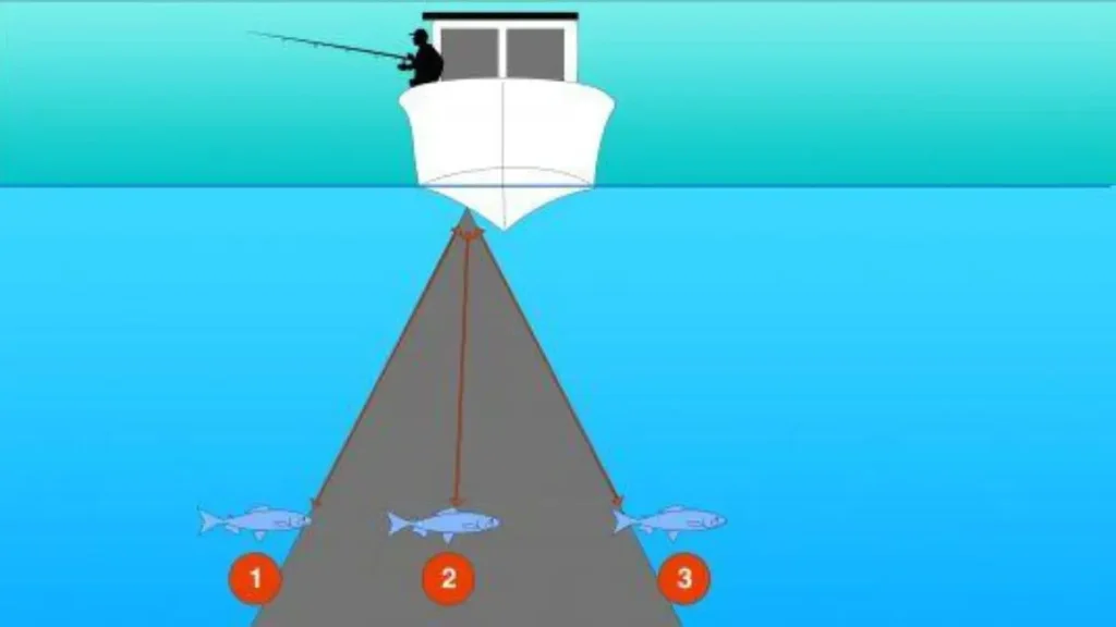 Tela de sonar exibindo arcos de peixes e estruturas submersas