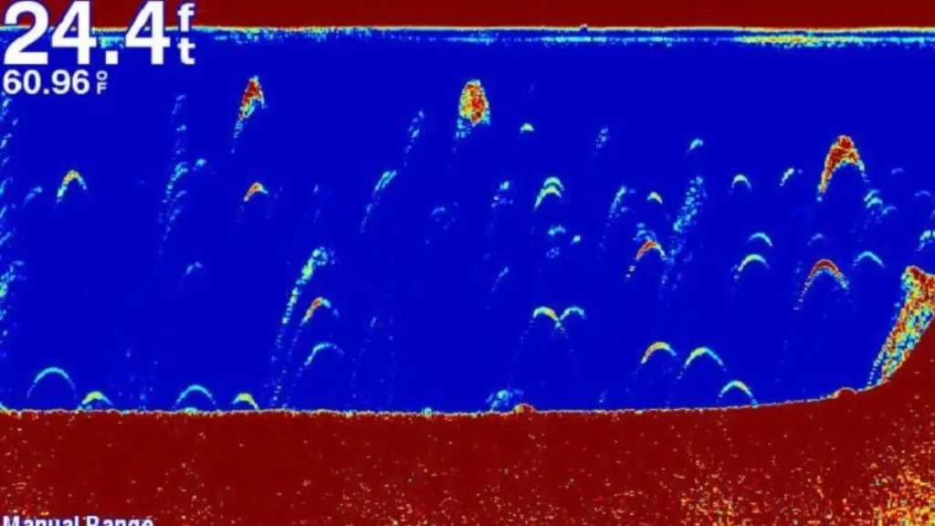Interpretação de sinais de peixes em sonar para pesca esportiva