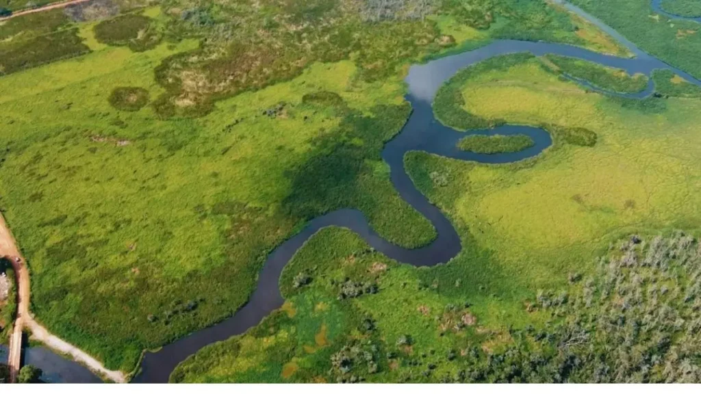 Onde pescar em São Paulo?