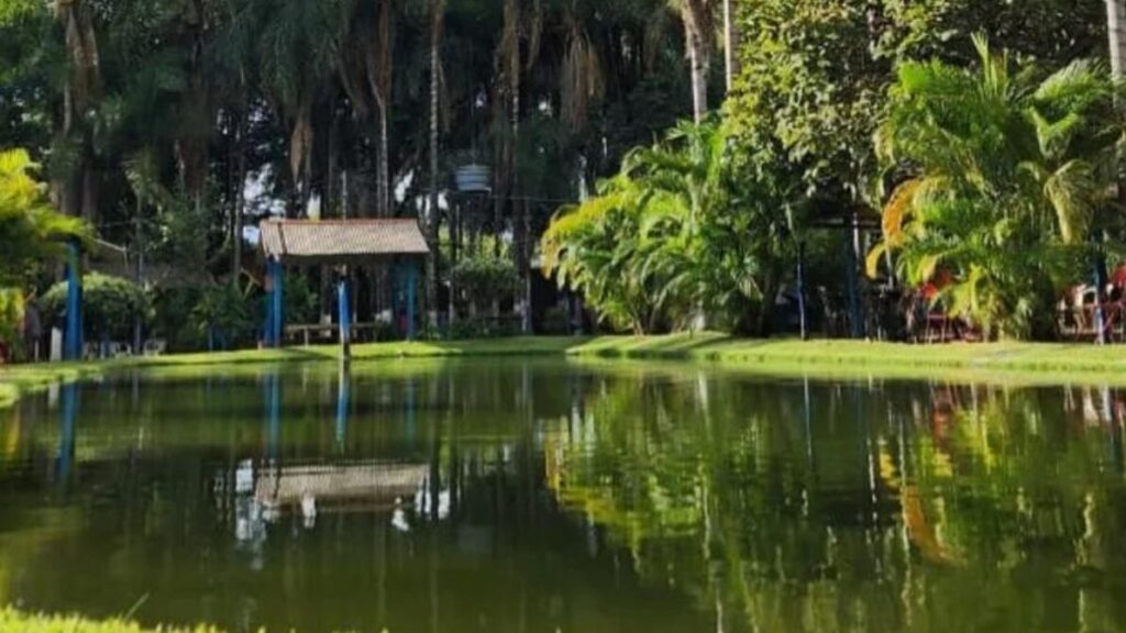Top 5 pesqueiros perto de Goiânia para pescar sem viajar muito 2 pesqueiros perto de Goiânia para pescar