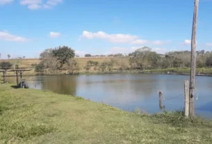 Pesqueiro no Mato Grosso com lago para pesca esportiva e estrutura para pescadores