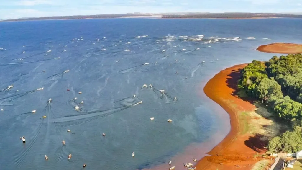 Foz do Iguaçu tem boa pesca? Veja os principais pontos e espécies 3 Lago de Itaipu com áreas ideais para pesca esportiva de tucunarés
